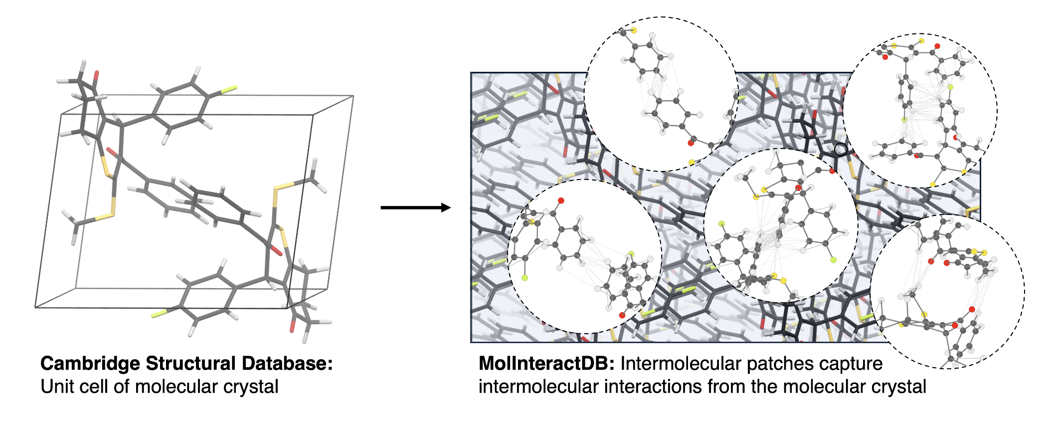 Molecular Interactions